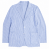 Blue and White Pinstripe Blazer